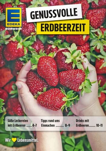 2025-04-26 10_10_18-Blätterkatalog und 6 weitere Seiten - Profil 1 – Microsoft​ Edge